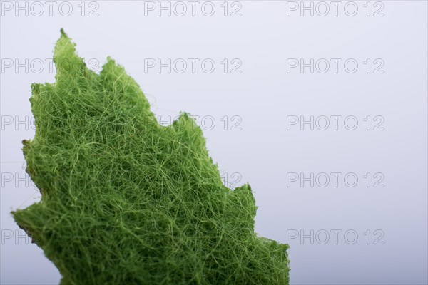 One separate green fake leaf