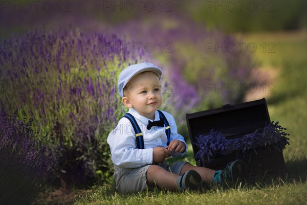 Beautiful little boy on a sunny day in a lavender field. Poland