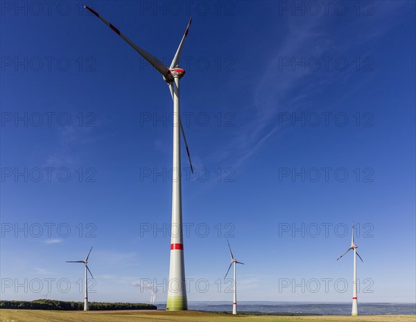 Perl wind turbine
