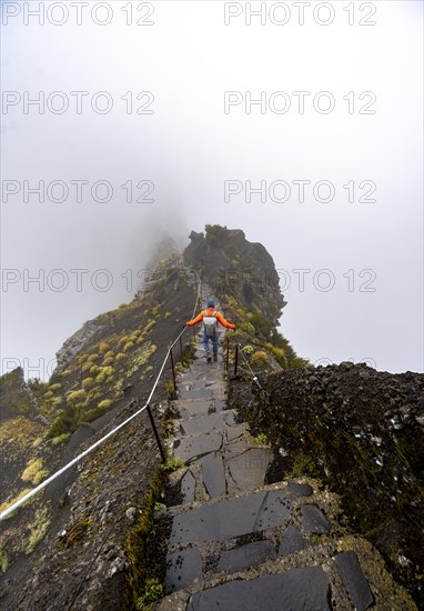 Hikers in the mist