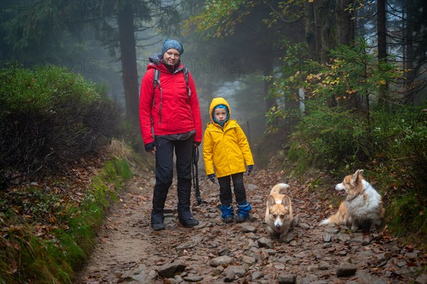 Mum and her little son go on a mountain trail in wet autumn weather. They are accompanied by a dog. Polish mountains