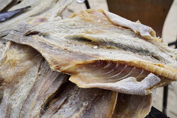 Fish drying