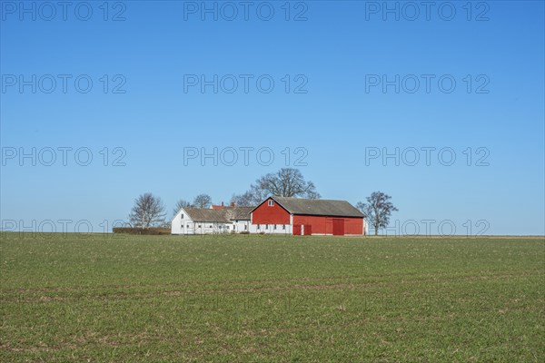 Typical farm in springtime in Skurup community