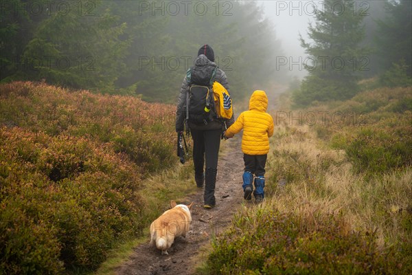 Mum and her little son go on a mountain trail in wet autumn weather. They are accompanied by a dog. Polish mountains