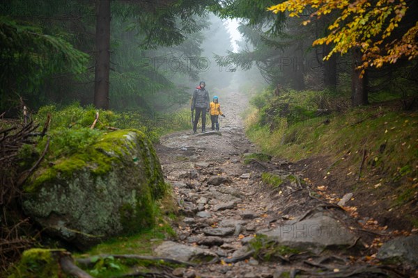 Mum and her little son go on a mountain trail in wet autumn weather. They are accompanied by a dog. Polish mountains