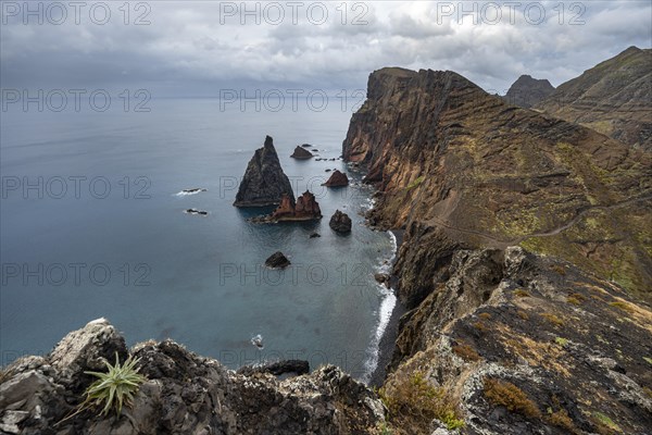 Coastal landscape