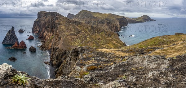 Coastal landscape