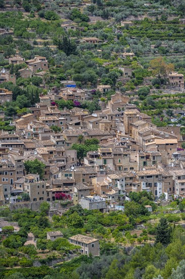 View of typical houses of the mountain village Fornalutx with mountain landscape