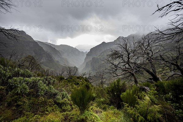 Cloud-covered mountains