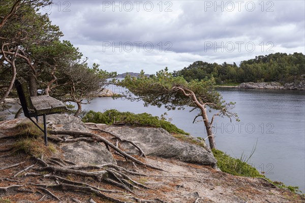 Trees and bench at Kanelstranda