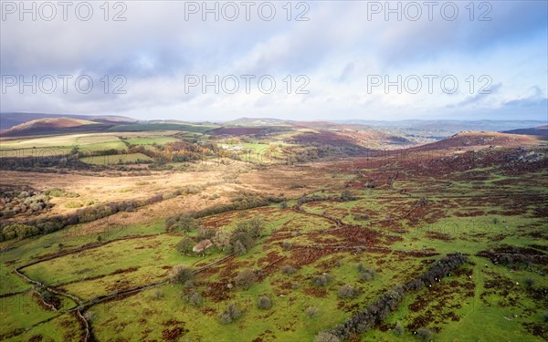 View over Emsworthy Mire from a drone