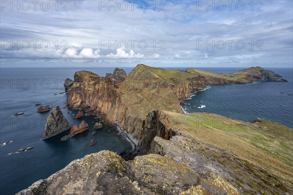 Coastal landscape