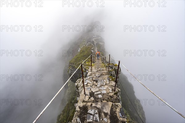 Hikers in the mist