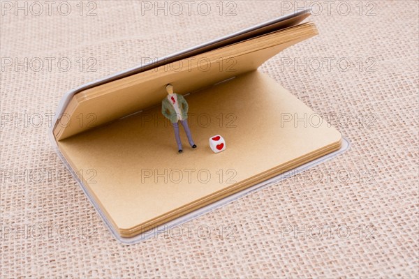 Figurine and love cube in a notebook on canvas