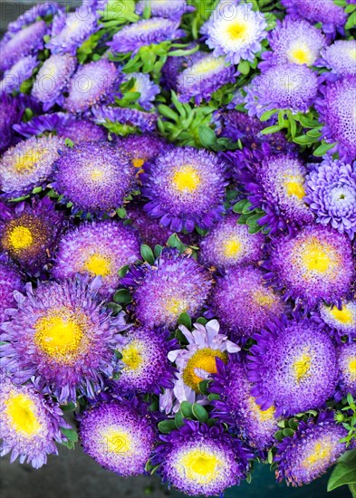 Beautiful bouquet of flowers on street flower vendor