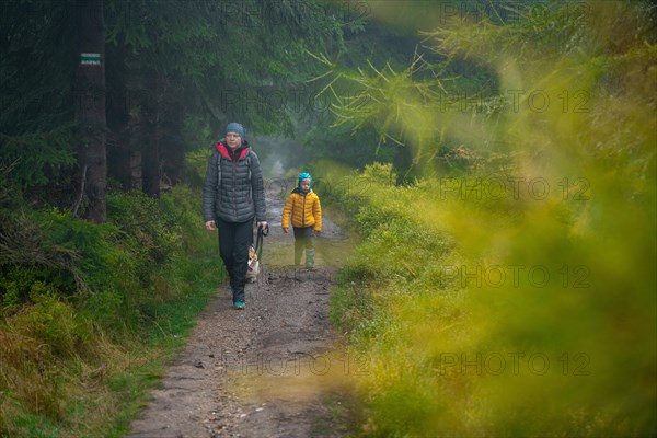 Mom with her son and dogs walk over logs lying on a small stream. Polish mountains