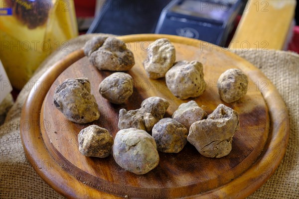 White truffle