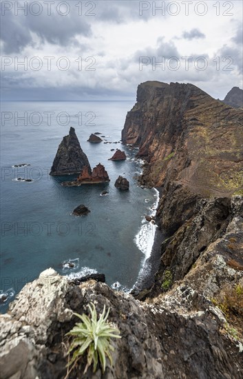 Coastal landscape