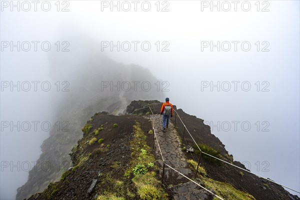 Hikers in the mist