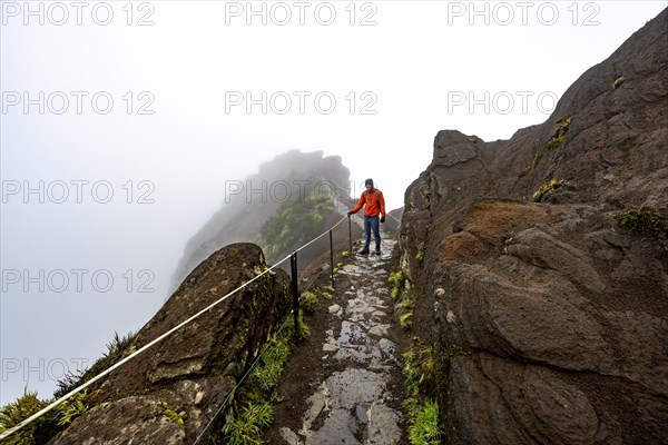 Hikers in the mist