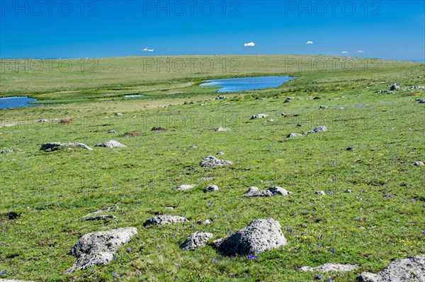 Highland lake in green natural background in Artvin province of Turkey