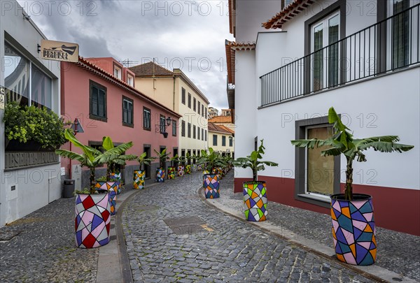 Street with colourful flower pots