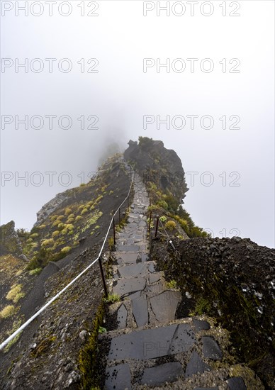 Hiking trail in the fog