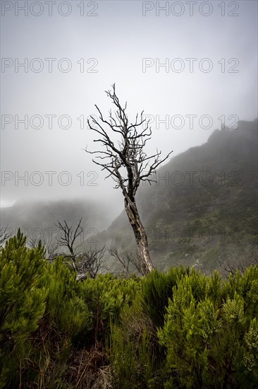 Cloud-covered mountains