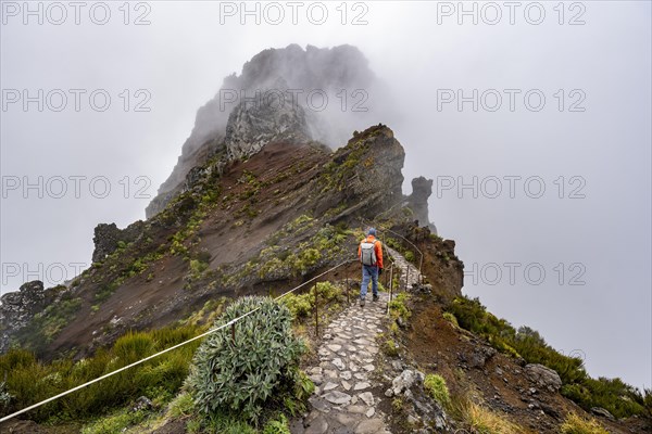 Hikers in the mist