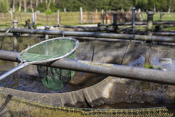 Landing net