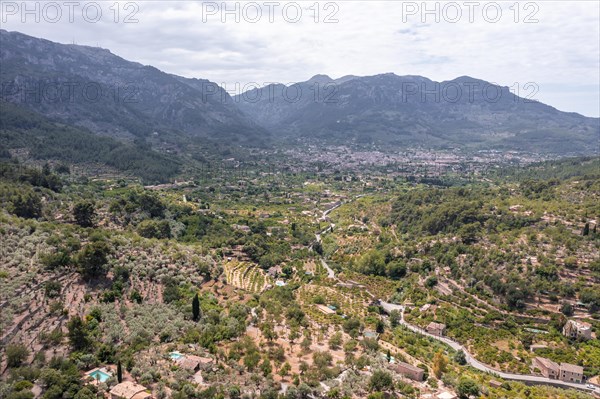 Mediterranean mountain landscape with olive plantations