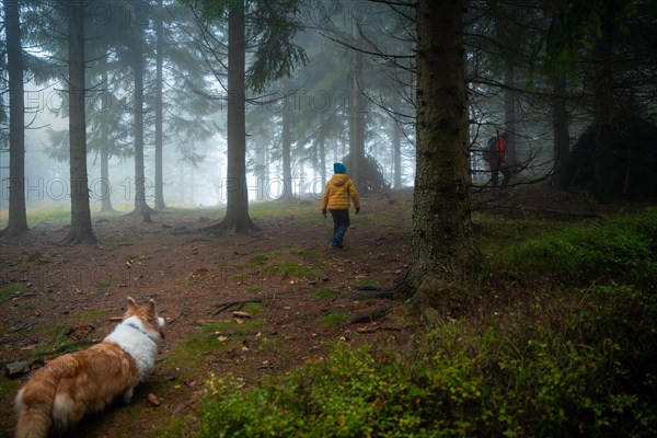 Mum and her little son go on a mountain trail in wet autumn weather. They are accompanied by a dog. Polish mountains