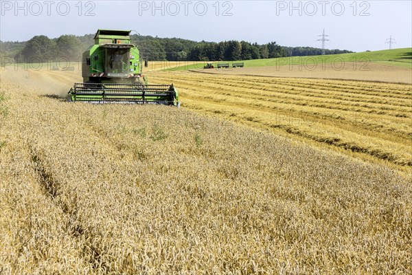 Grain harvest