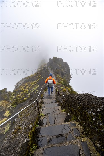 Hikers in the mist