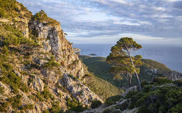 View of steep cliffs in the evening light