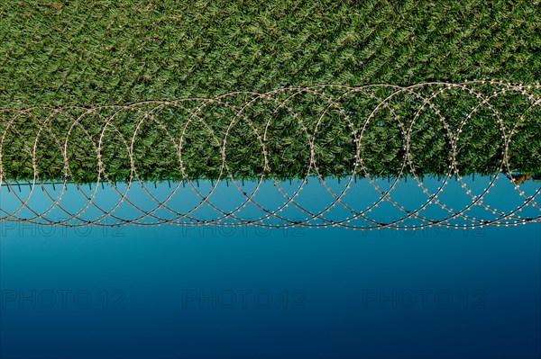 Barbed wire fence used for protection purposes of a pproperty
