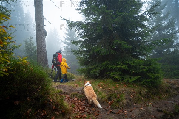 Mum and her little son go on a mountain trail in wet autumn weather. They are accompanied by a dog. Polish mountains