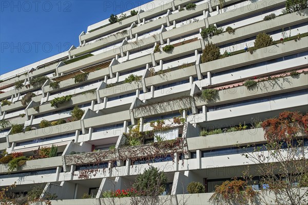 High-rise building with green balconies in the former Olympic Village