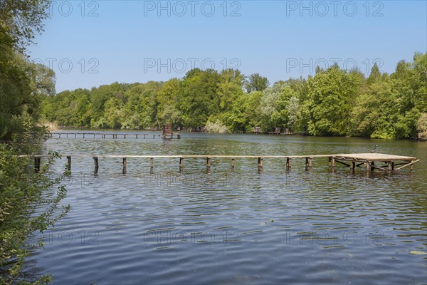 Old Rhine arm with fishing jetties near Jockgrim