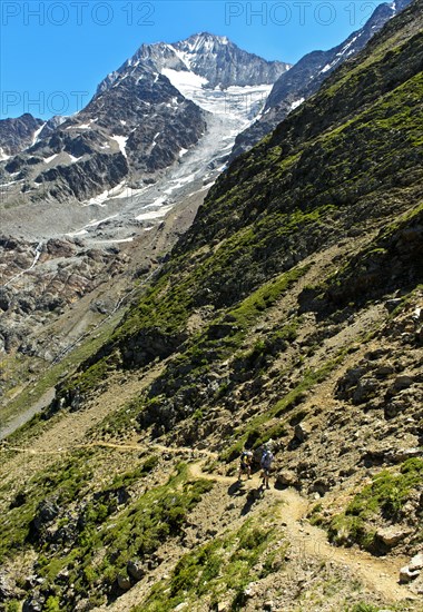 Steep hiking trail to the Bietschhorn hut