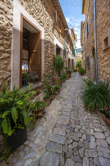 Flower pots in an alley with typical stone houses