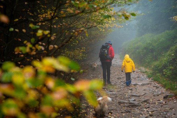 Mum and her little son go on a mountain trail in wet autumn weather. They are accompanied by a dog. Polish mountains