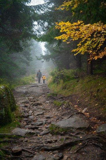 Mum and her little son go on a mountain trail in wet autumn weather. They are accompanied by a dog. Polish mountains