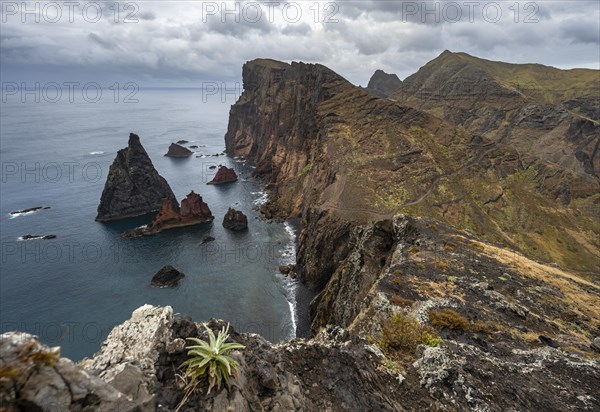 Coastal landscape