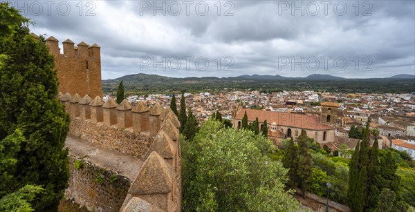 Wall of the old castle with tower