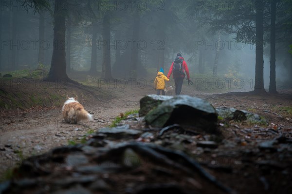 Mum and her little son go on a mountain trail in wet autumn weather. They are accompanied by a dog. Polish mountains