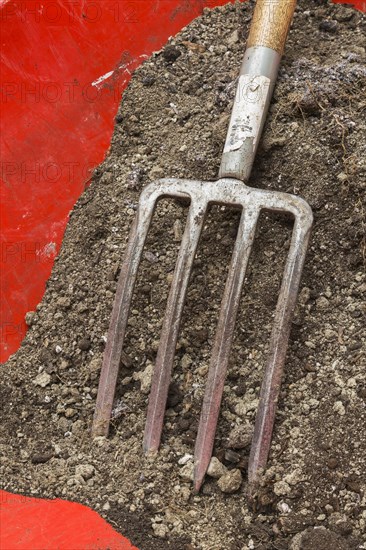 Pitchfork in red wheelbarrow filled with dirt in backyard garden in summer