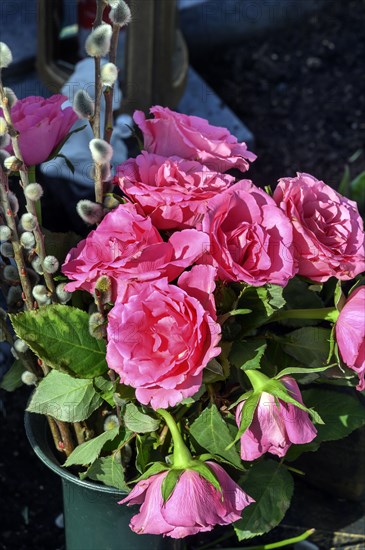 Grave decoration with roses