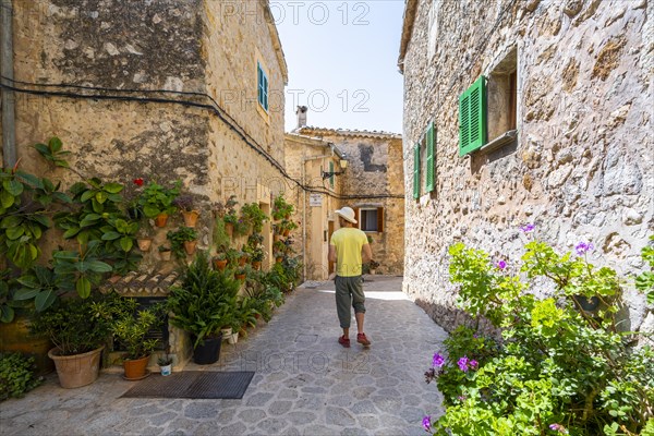 Houses decorated with flower pots