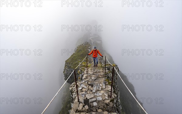 Hikers in the mist